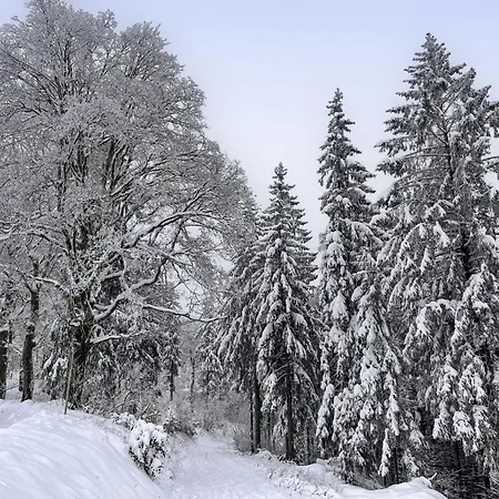 Prázdninový dům Konrad By Interhome *