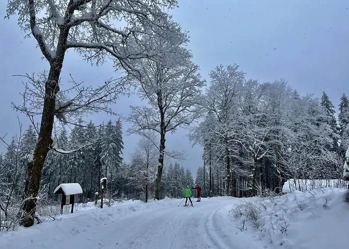 Konrad By Interhome Tatil Evi Goldlauter-Heidersbach